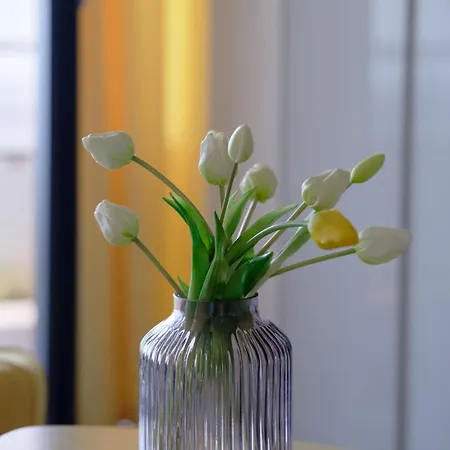 Najpiękniejszy Bezpośredni Widok Na Bałtyk - Twój *