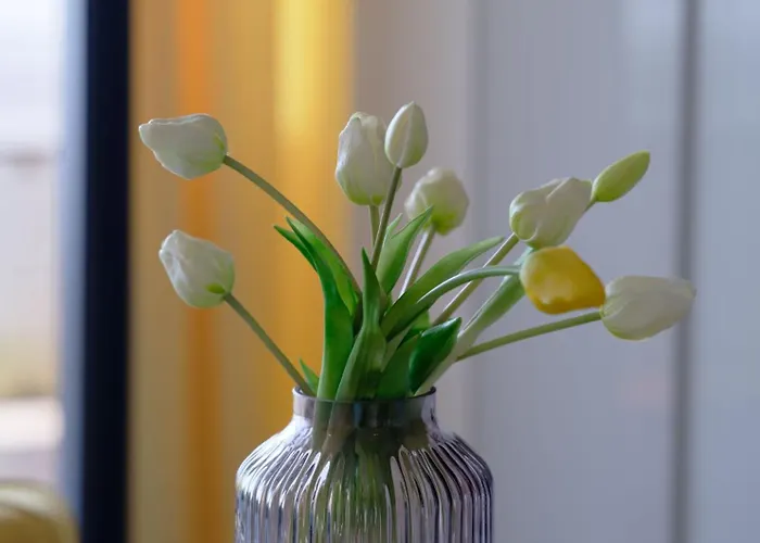 Najpiekniejszy Bezposredni Widok Na Baltyk - Twoj *